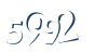 Input this protected code