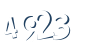 Input this protected code