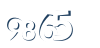 Input this protected code