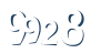 Input this protected code