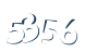 Input this protected code