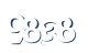 Input this protected code