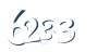 Input this protected code