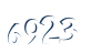 Input this protected code