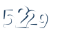 Input this protected code