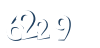 Input this protected code