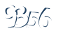 Input this protected code