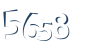 Input this protected code
