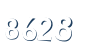 Input this protected code