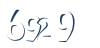 Input this protected code