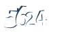 Input this protected code