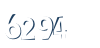 Input this protected code