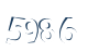 Input this protected code