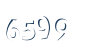 Input this protected code