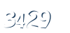 Input this protected code