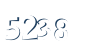 Input this protected code