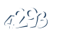 Input this protected code