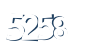 Input this protected code