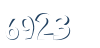 Input this protected code