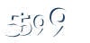 Input this protected code
