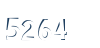 Input this protected code