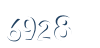 Input this protected code