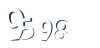 Input this protected code