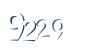 Input this protected code