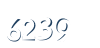Input this protected code