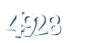 Input this protected code