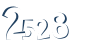 Input this protected code