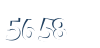 Input this protected code