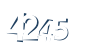 Input this protected code