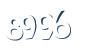 Input this protected code
