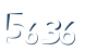Input this protected code