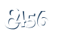 Input this protected code