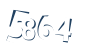 Input this protected code