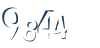 Input this protected code