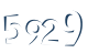 Input this protected code