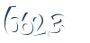Input this protected code