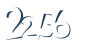 Input this protected code