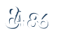 Input this protected code