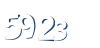 Input this protected code