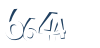 Input this protected code