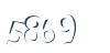 Input this protected code
