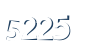 Input this protected code