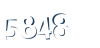 Input this protected code