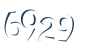 Input this protected code