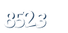 Input this protected code