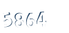 Input this protected code